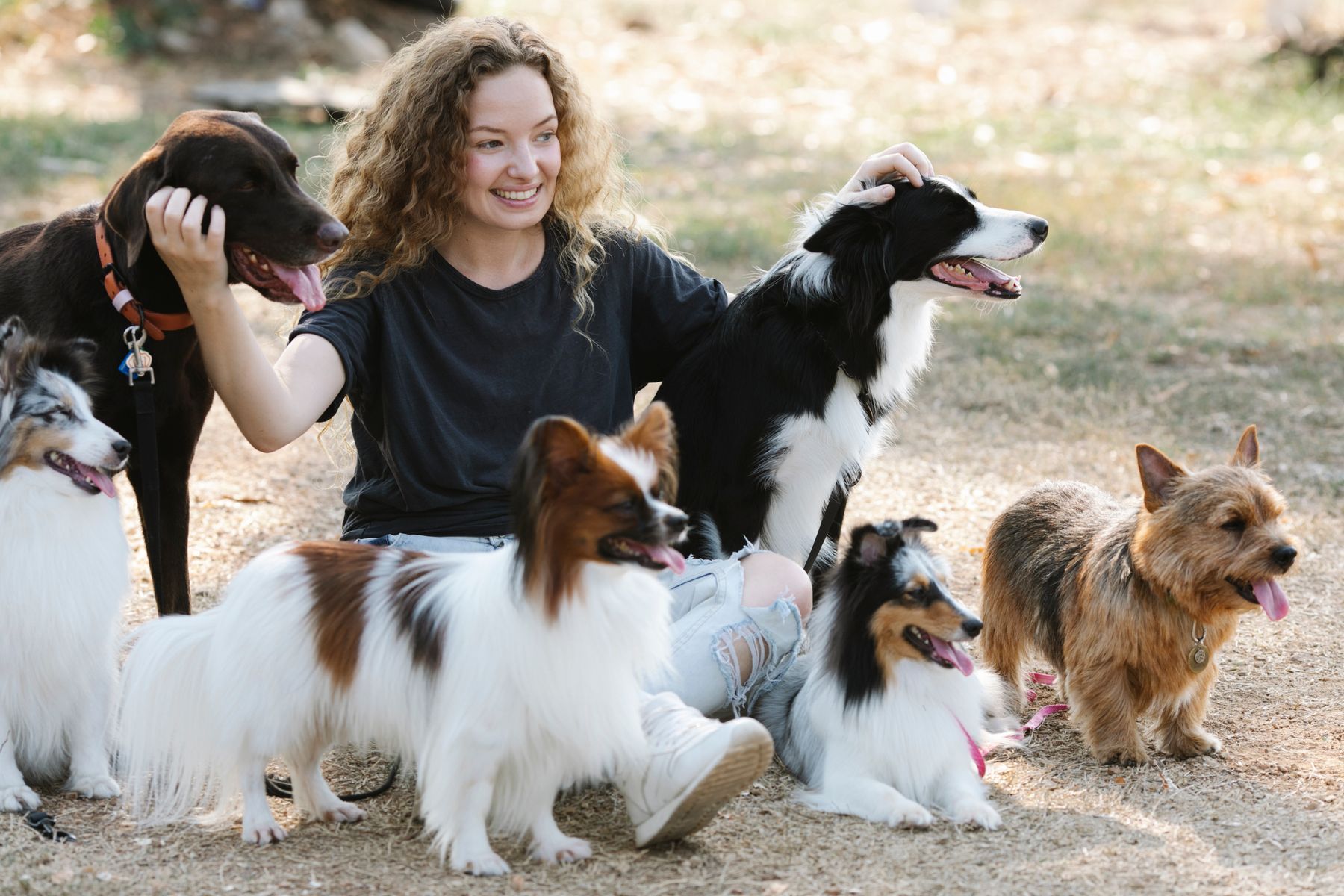 Een lachende vrouw zit tussen een groep honden